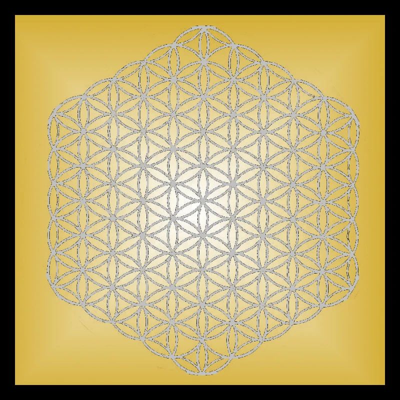 Blume des Lebens silber - 5. Dimension