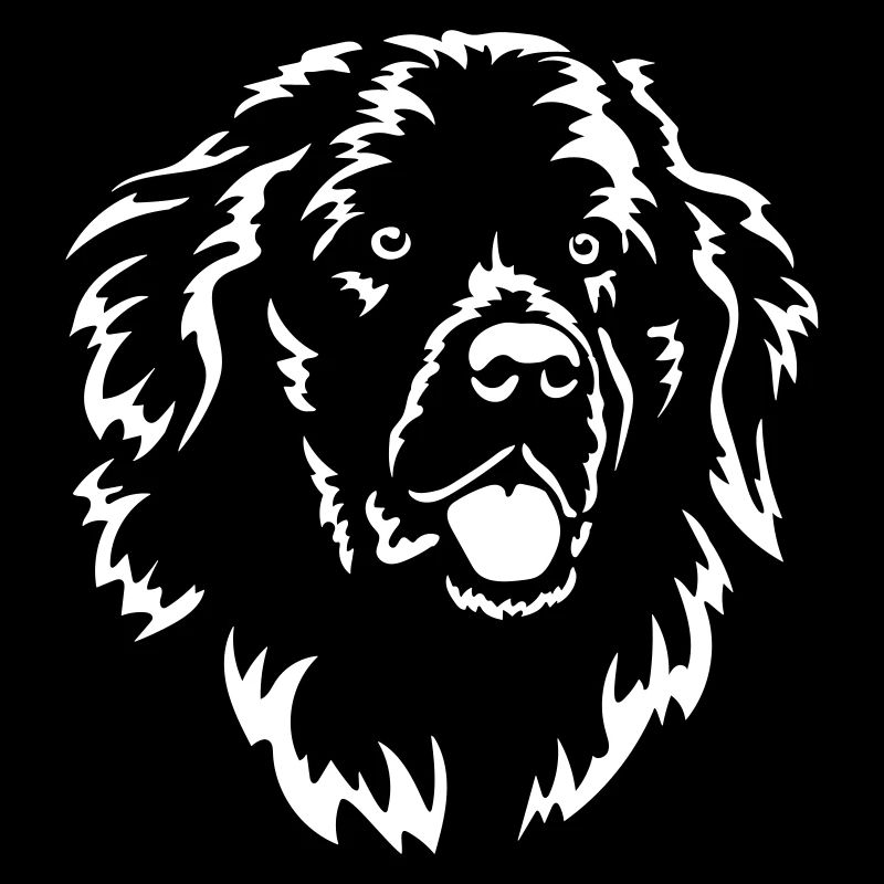 Newfoundland Head "Black Edition"