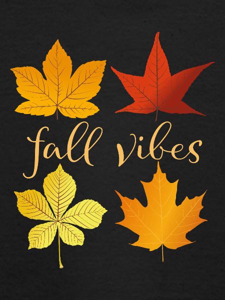 Fall Vibes