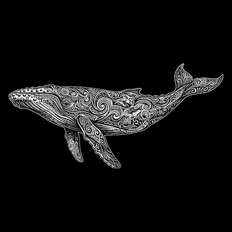 Humpback whale