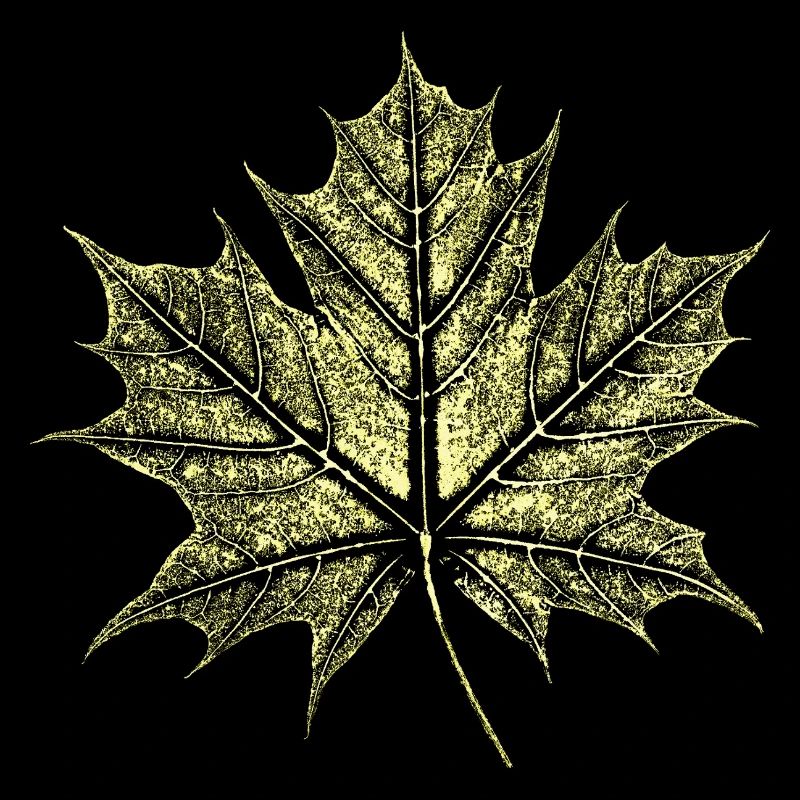 Maple Leaf / Botany - Natural