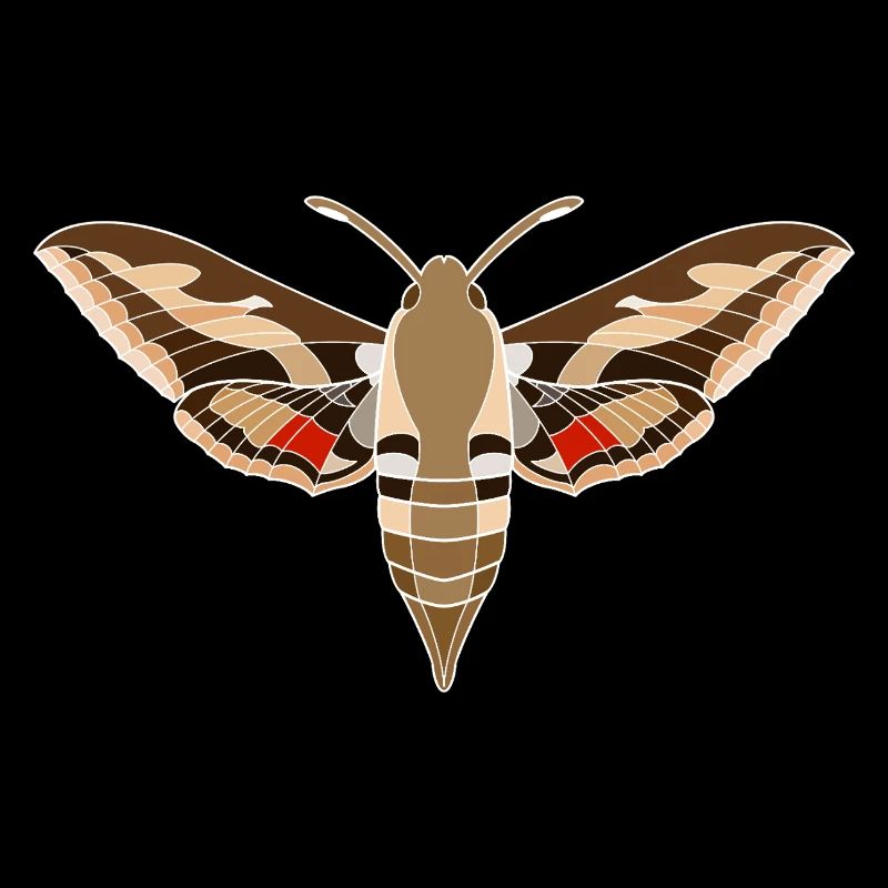 Bedstraw hawkmoth