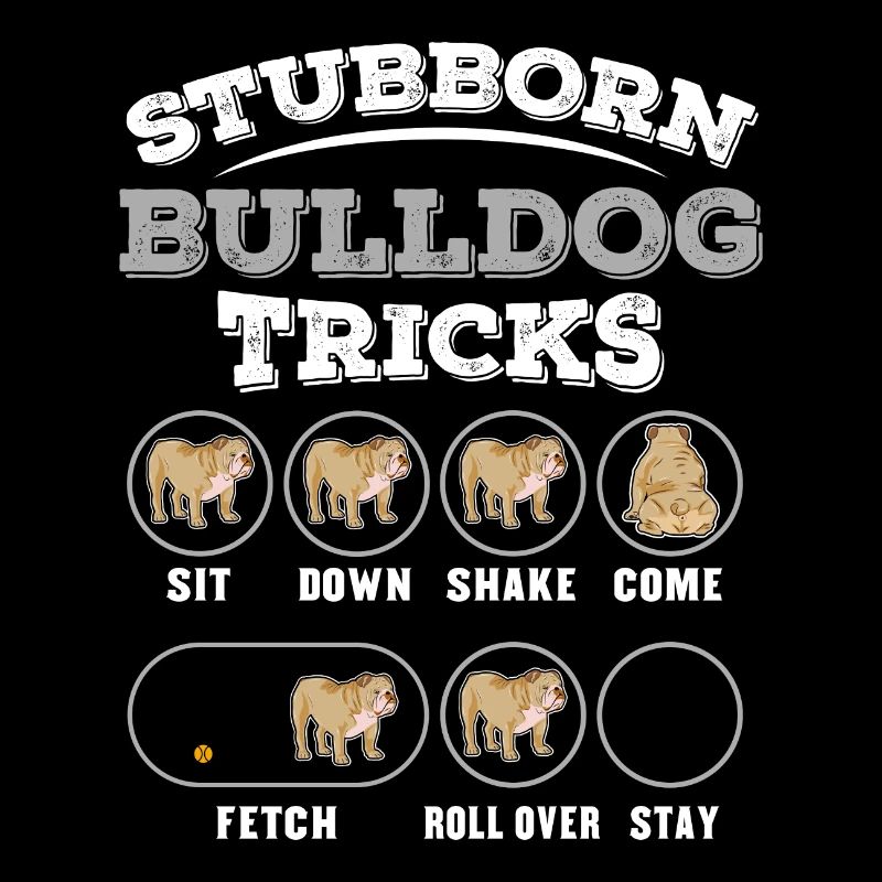 Dog training for bulldogen