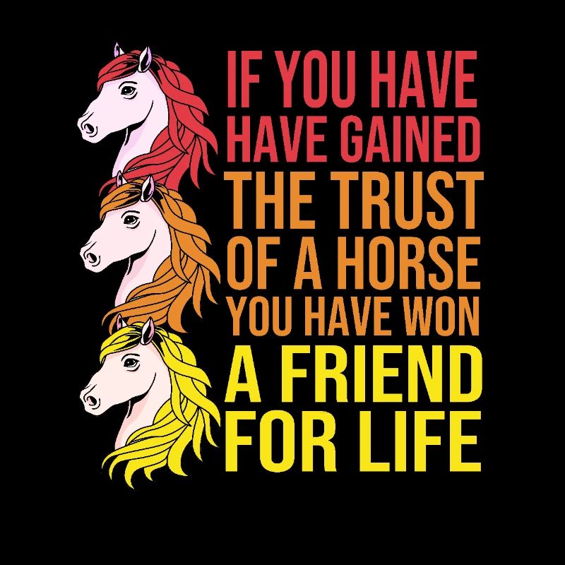 Springreiten Springpferd