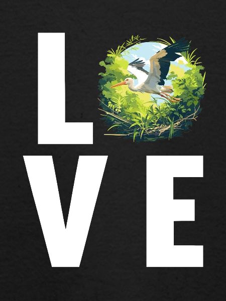 Störche Storch