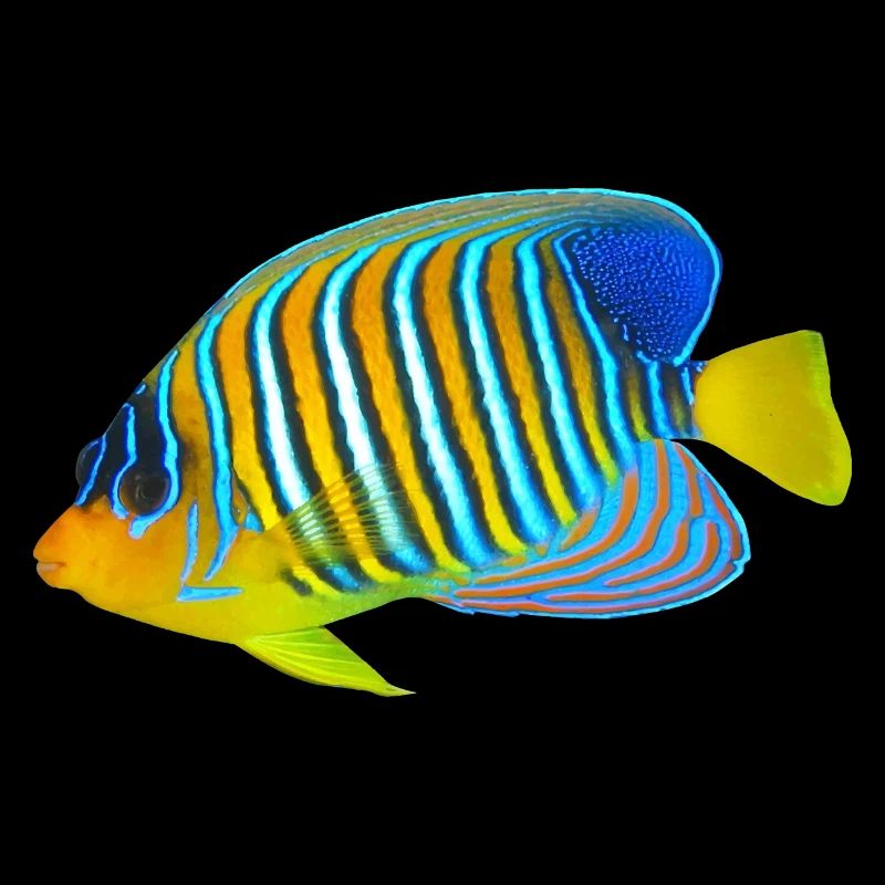 Fisch