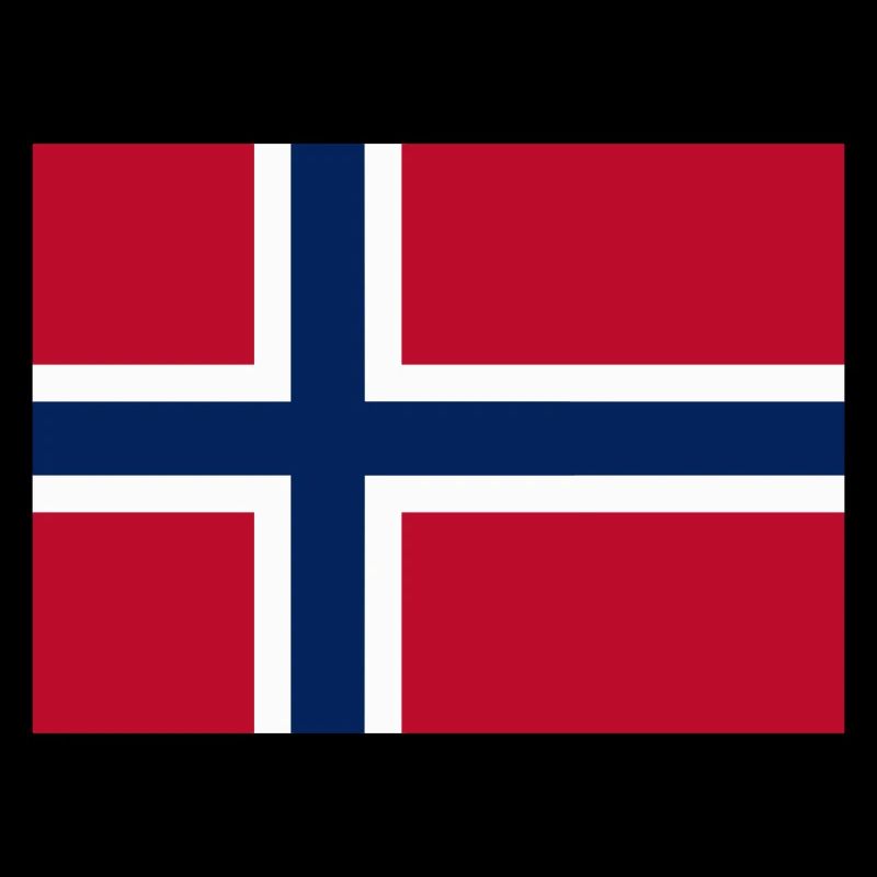 Norway flag