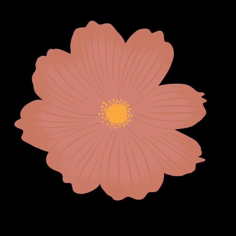 Rosa Blume