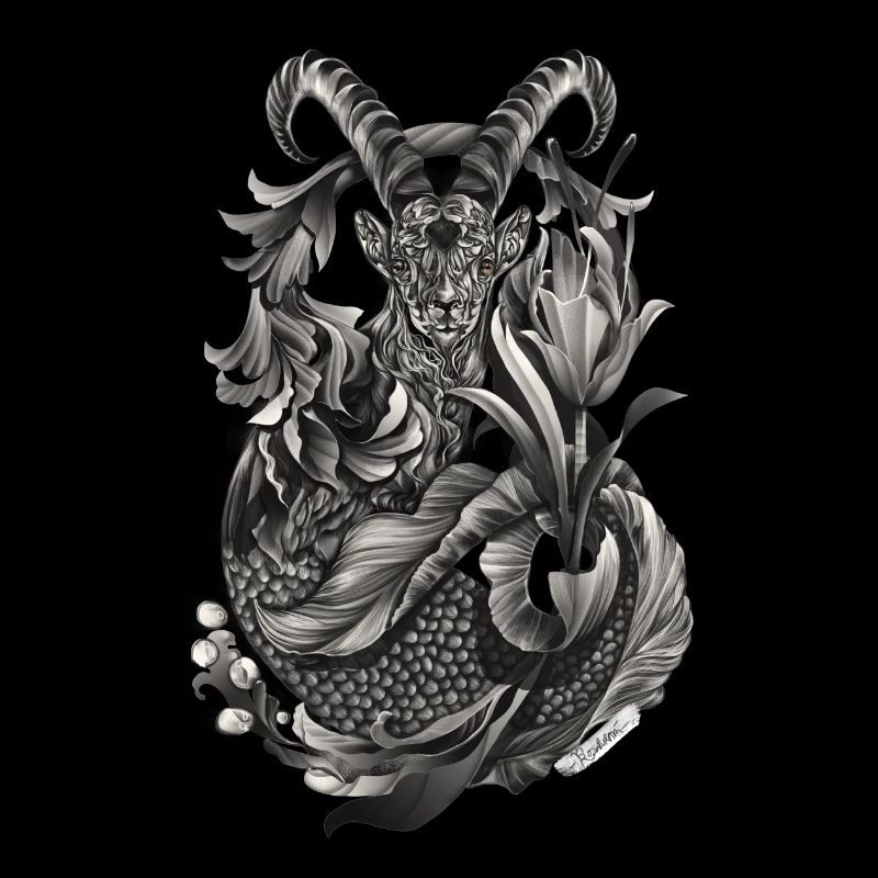 Steinbock Sternzeichen