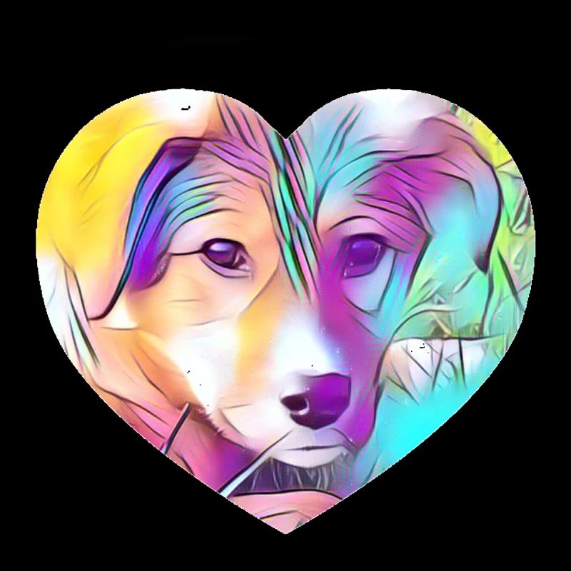 Chien