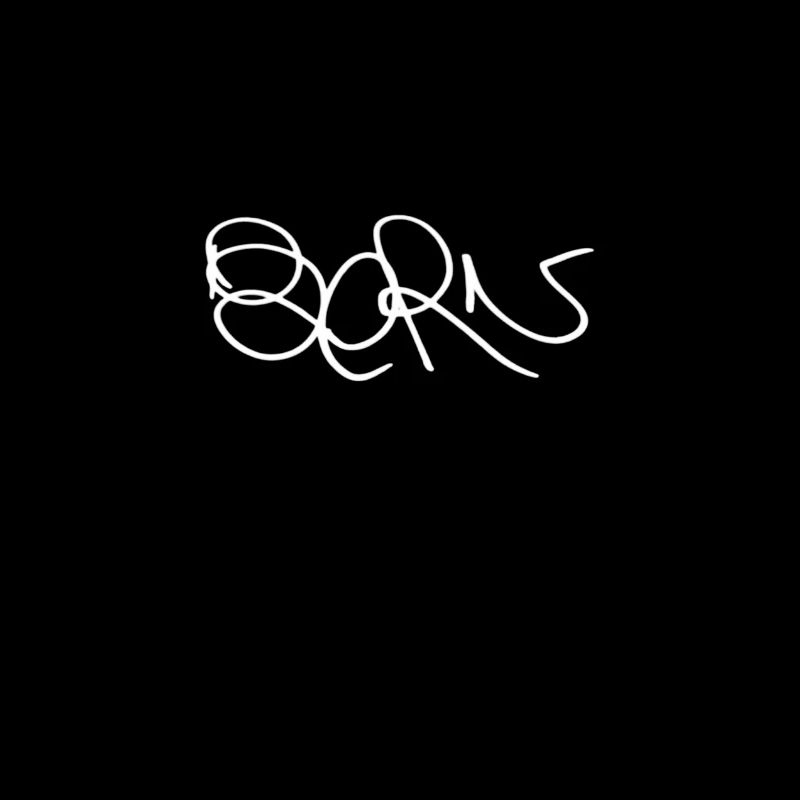 T-shirt Bern Sweat à capuche Bern Pullover Bern