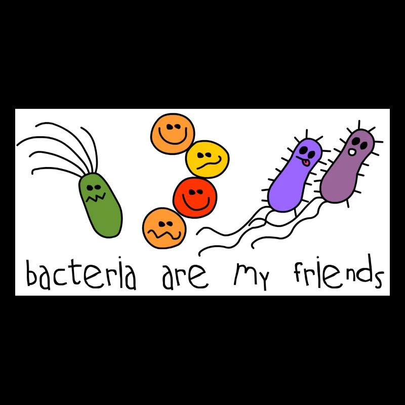 Bacteria