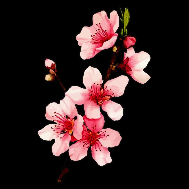 Fleur de cerisier