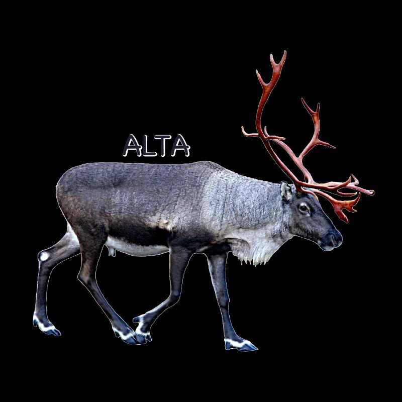 Alta