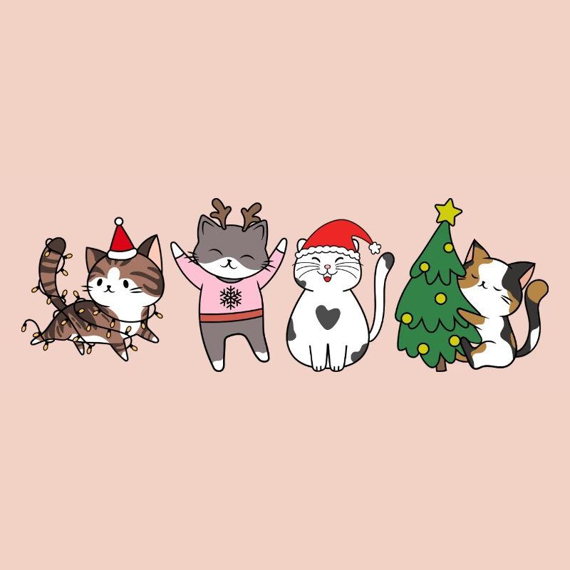 Chat à Noël