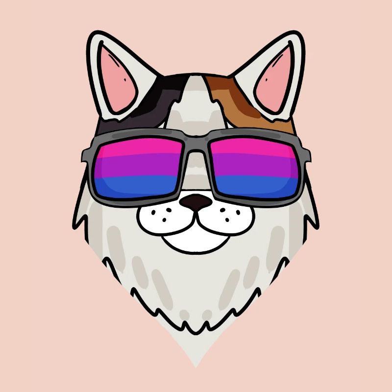 Bisexual Turkish Van Cat Gift