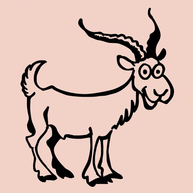 Bouc