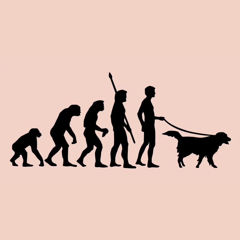 evolution_dog
