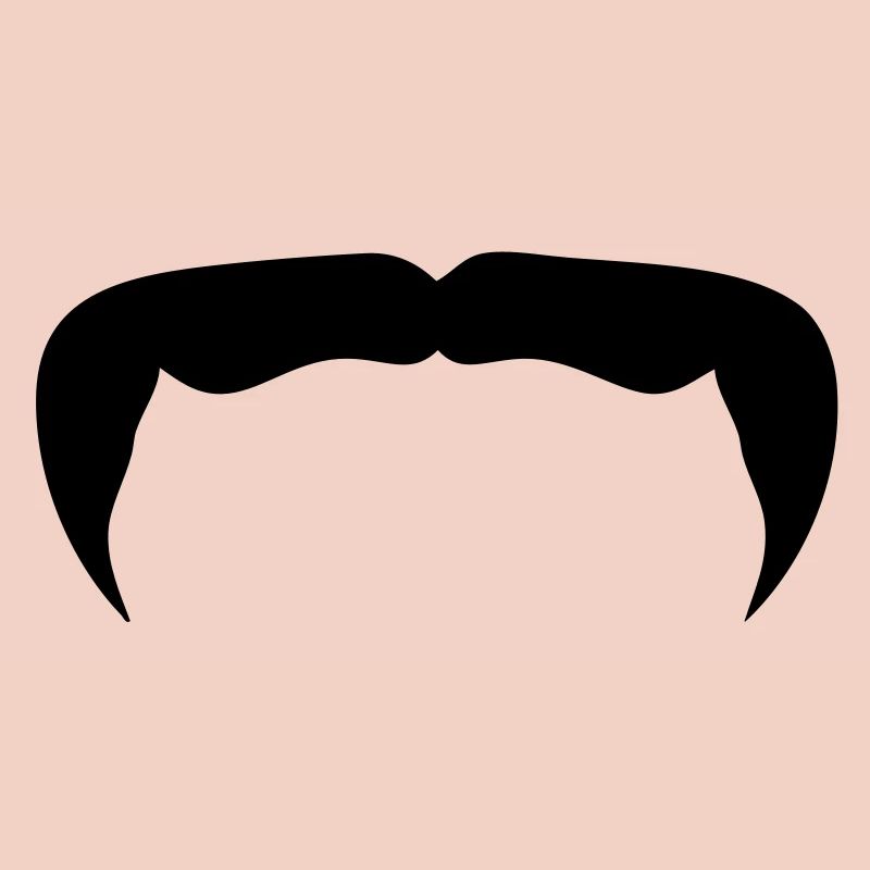 Hipster-Schnurrbart Schnurrbart Bart beard12