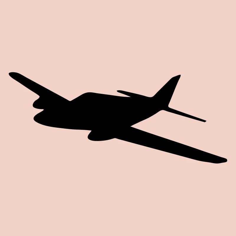 Light aircraft