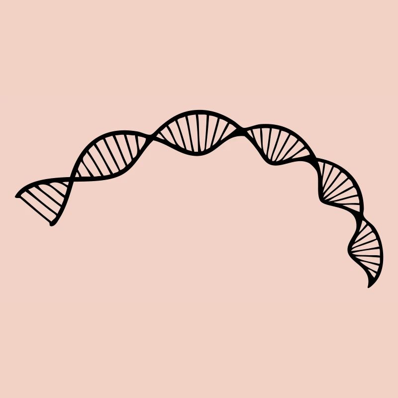 Zellsequenz der DNA-Doppelhelixstruktur