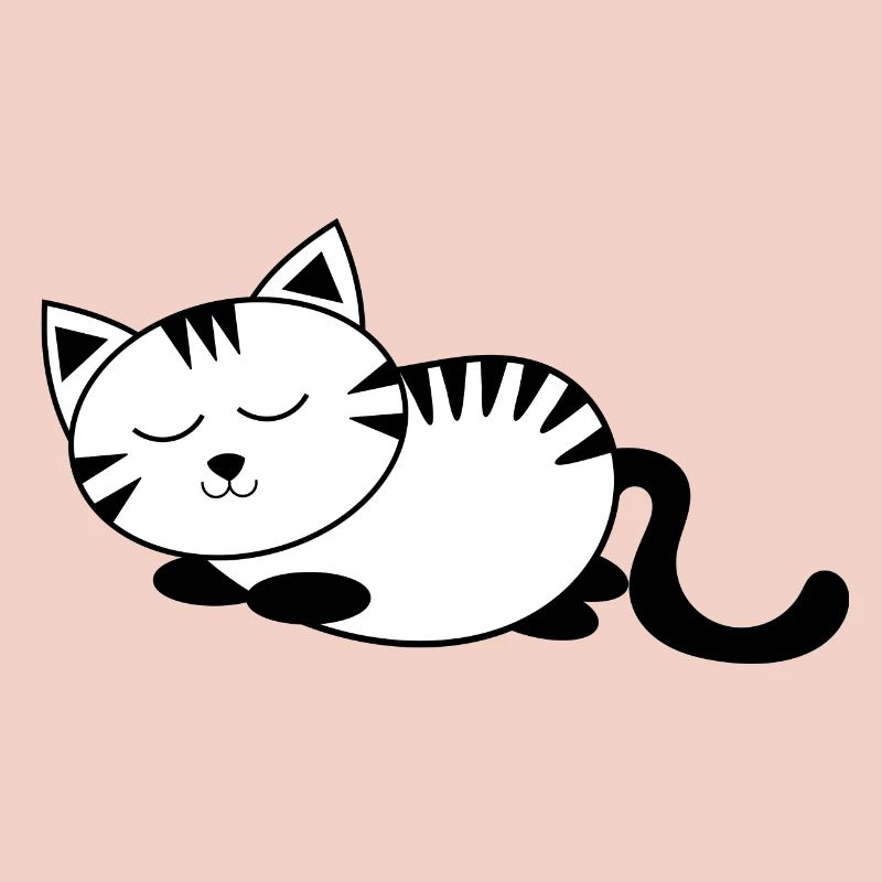 chat noir chat chaton doux cadeau de Noël