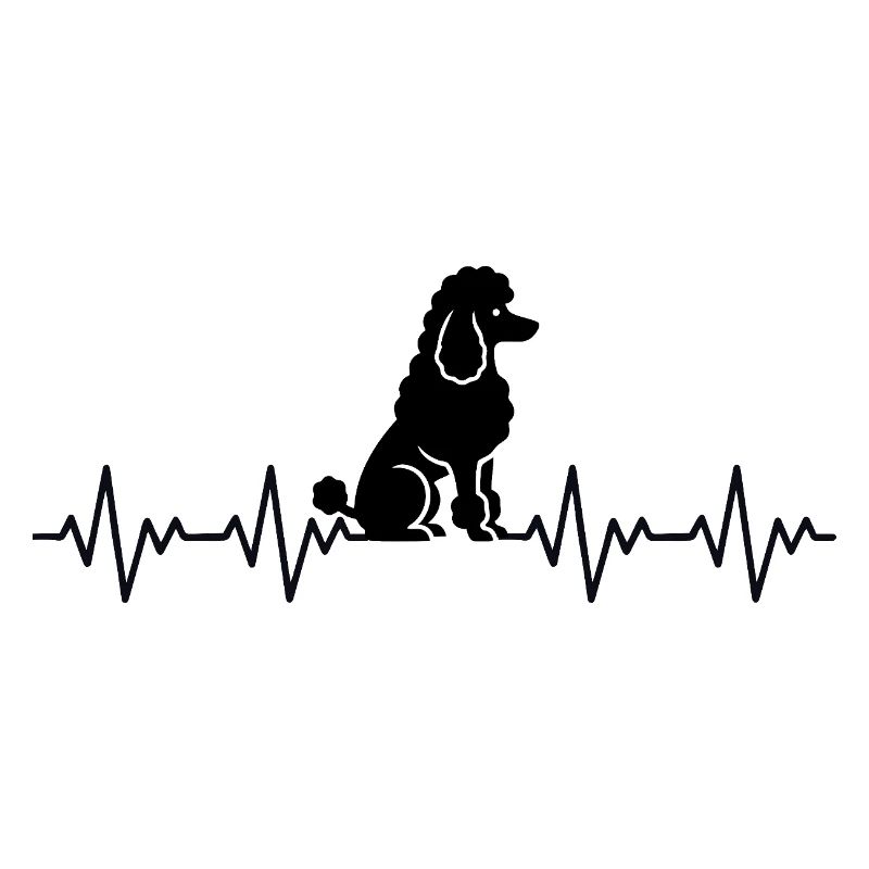 Poodle ECG Heartbeat
