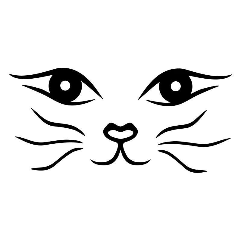 Katzengesicht/Katze
