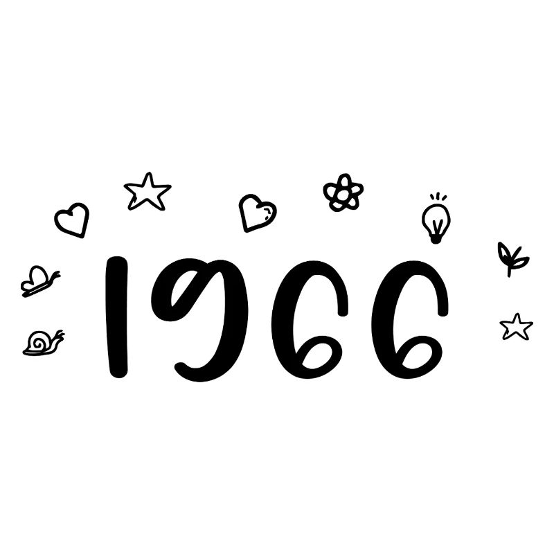 1966 Anniversaire 1966 Retro 1966