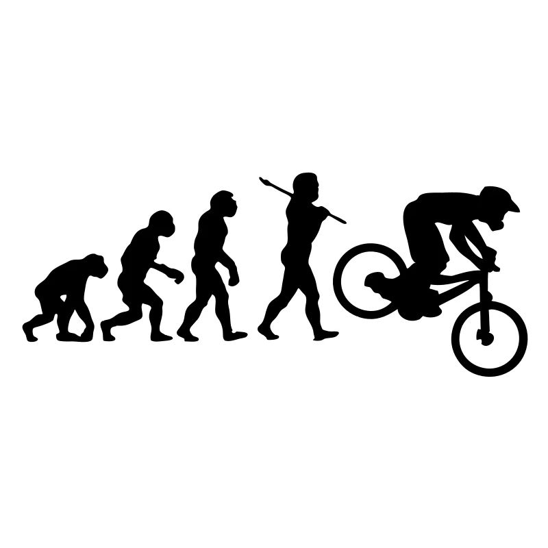 NEW MTB DOWNHILL MOUNTAIN BIKE EVOLUTION