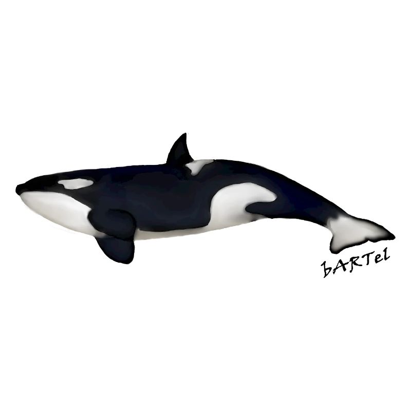 Orca 2