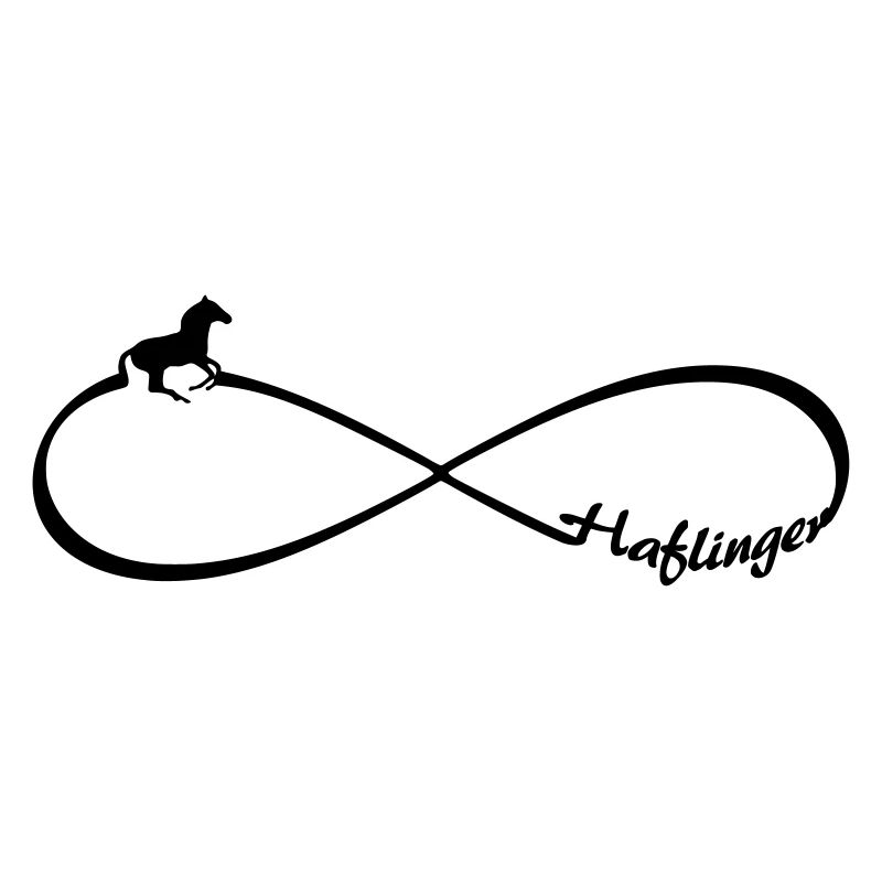 Haflinger Pferde freunde Pferderasse Infinity acht