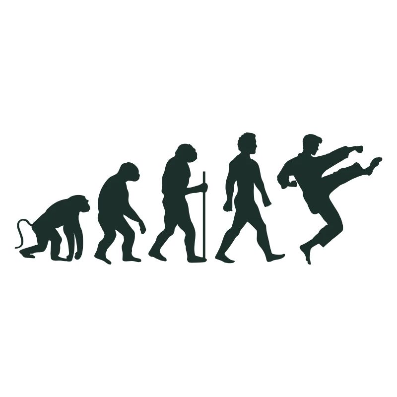 karate evolution