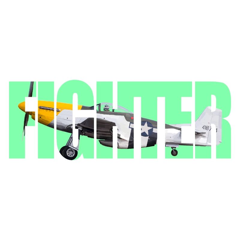 Fighter P-51