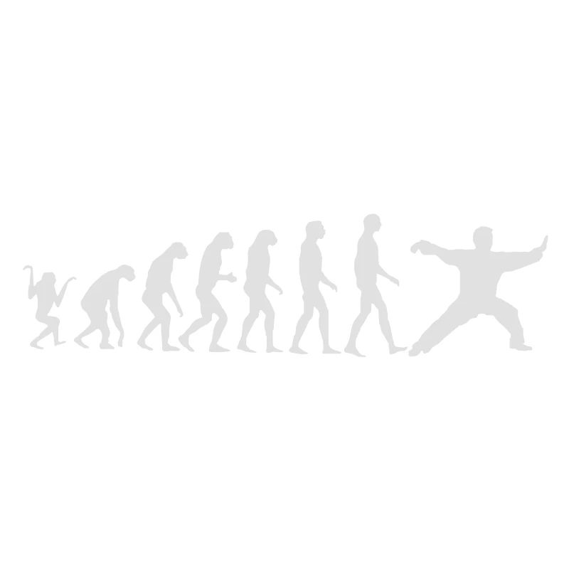 Taijiquan Chen-Style Evolution