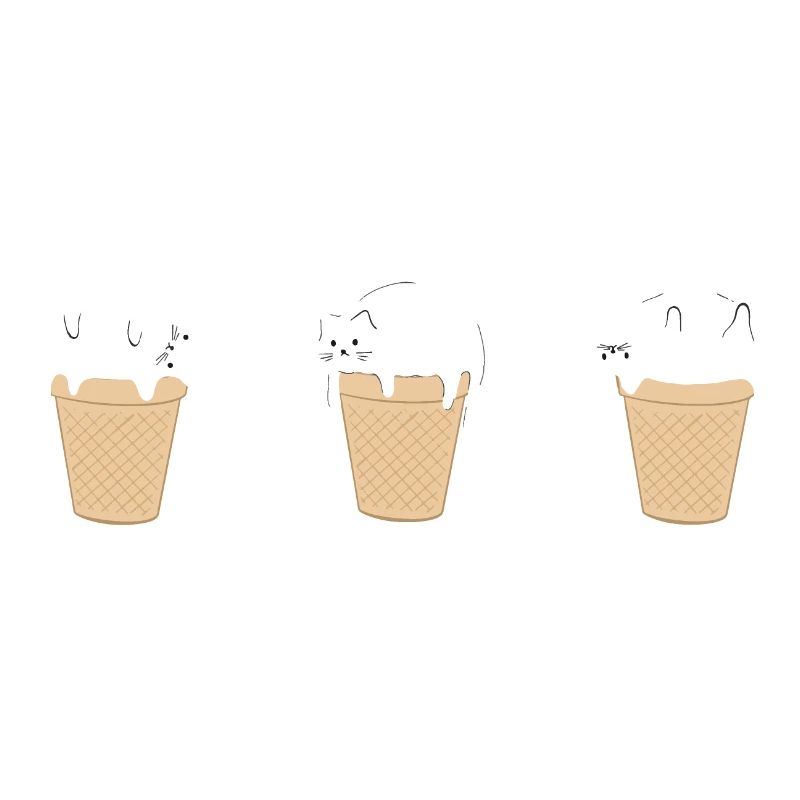 eis katze eis baby