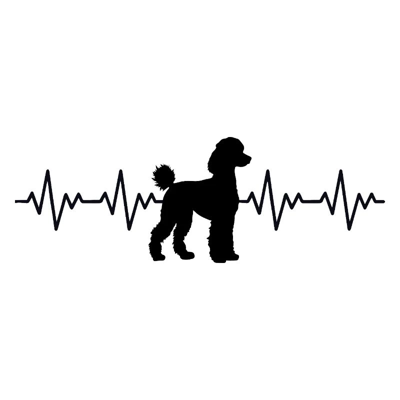 ECG du caniche Battement de cœur