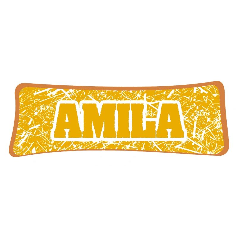 Heirat Amila