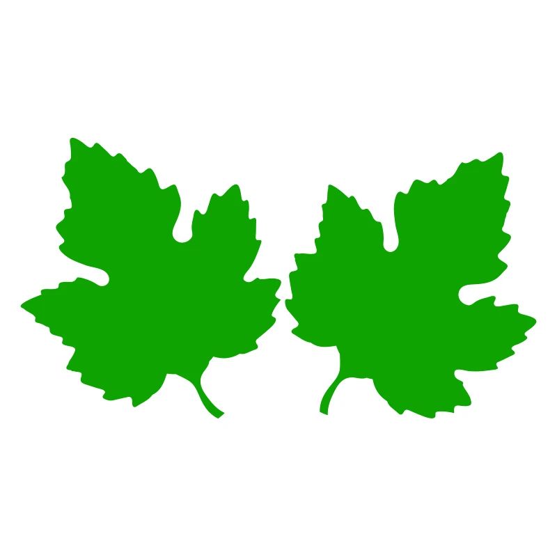 feuilles