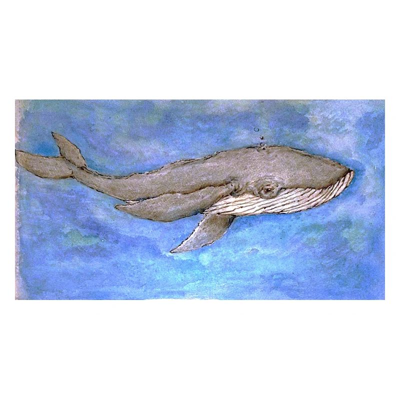 Baleine