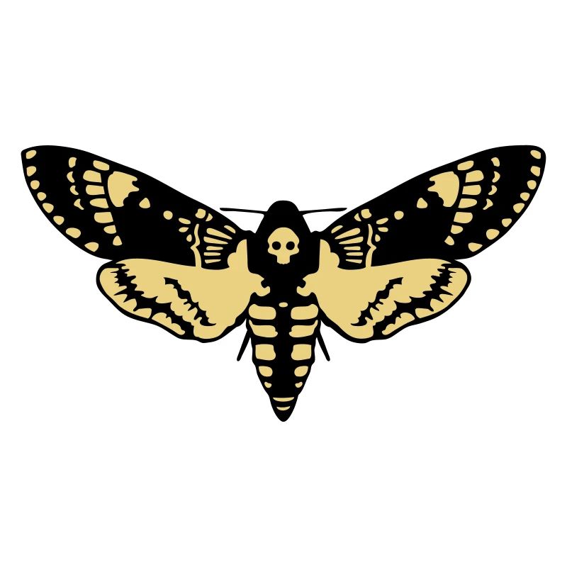 Sphinx tête de mort butterfly skull