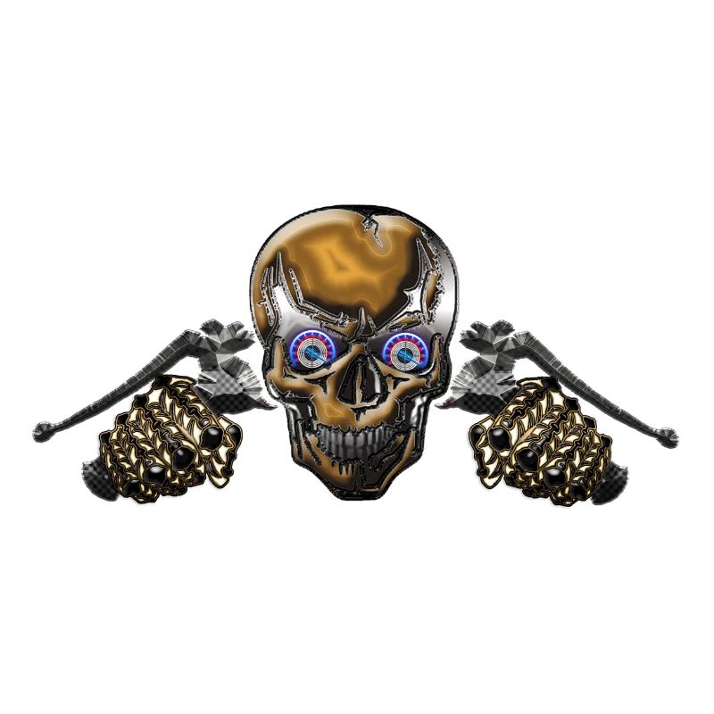Counter Skull Biker