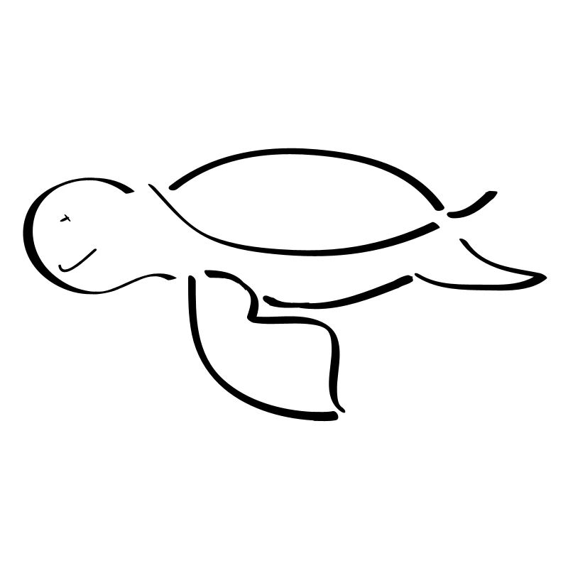 Tortue