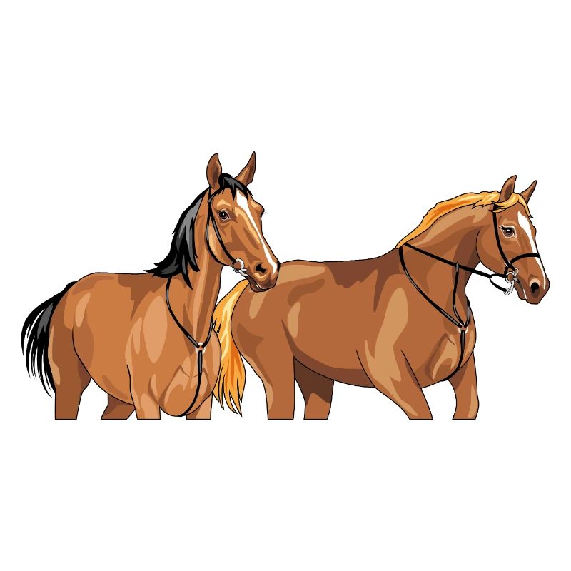 Deux beaux chevaux bruns