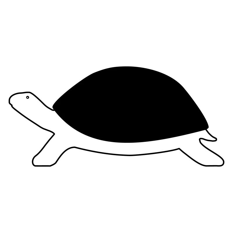 Tortue