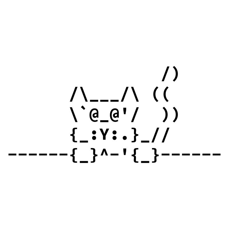 Ascii Katze