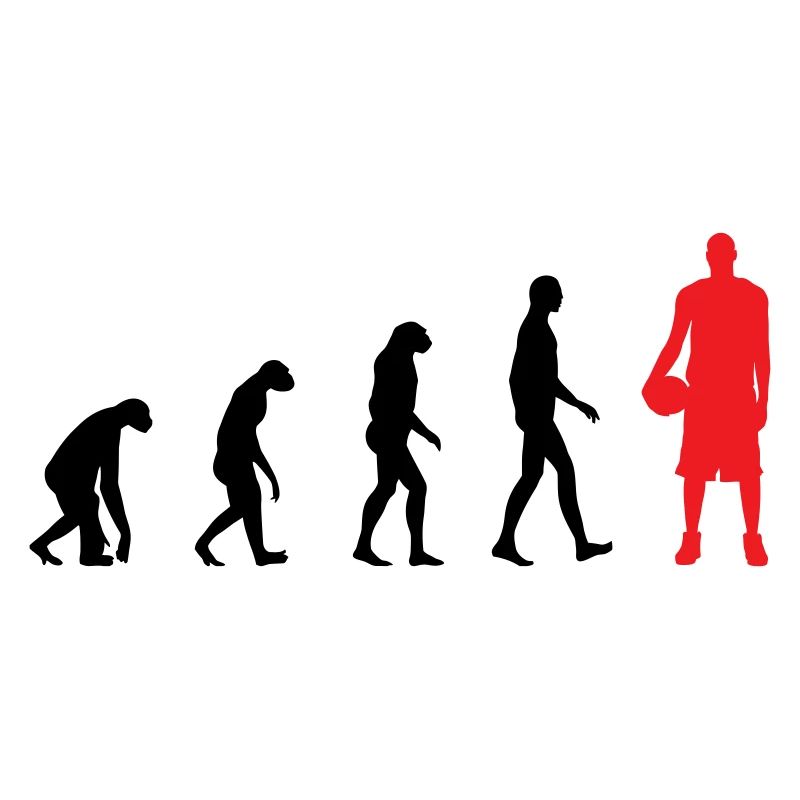 Basket Ball Evolution / Basketball