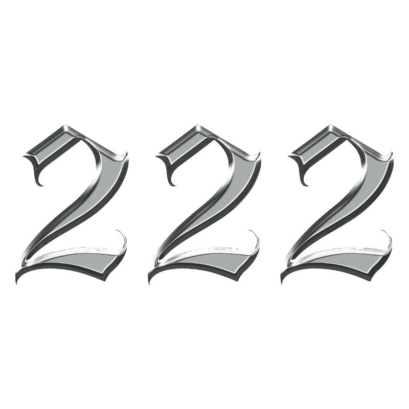 Angel Number 222 Alignment 