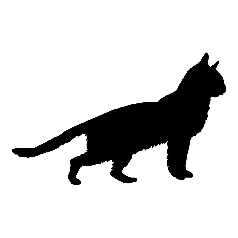 katze