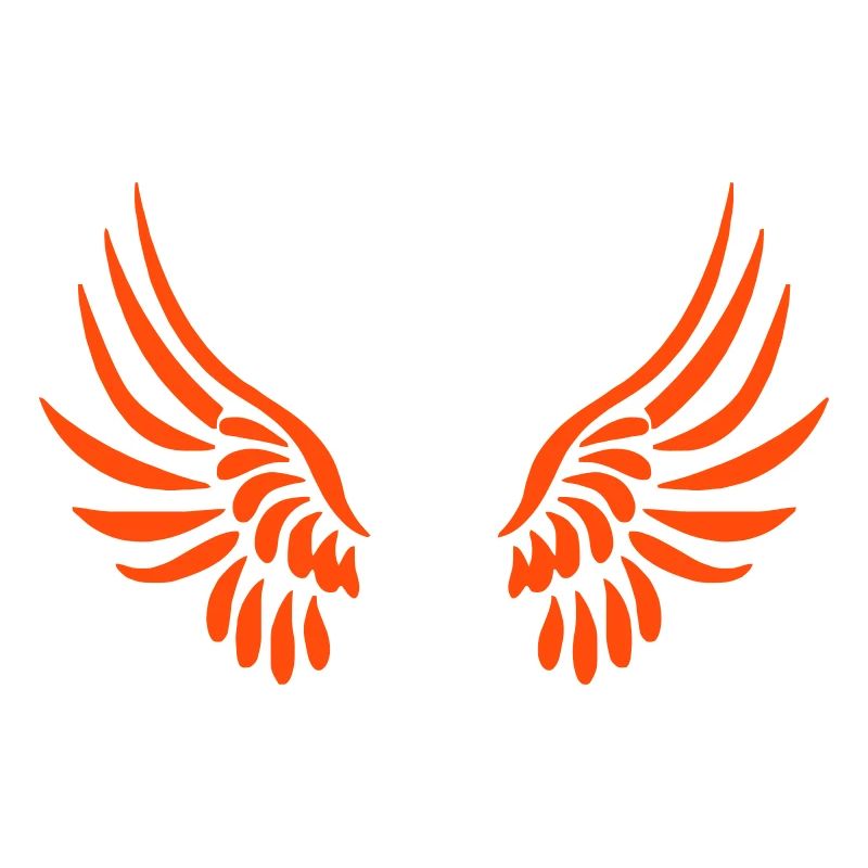 ailes d'ange